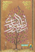 خرید کتاب لطایفی در سلوک ( شرح رساله لغت موران شیخ اشراق )